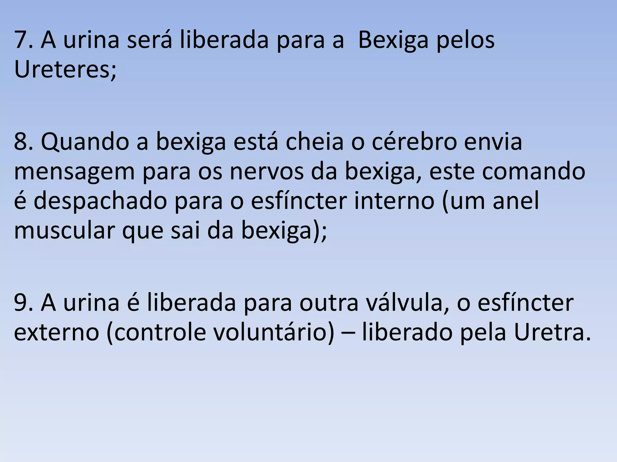 7. A urina será liberada para a Bexiga pelos
Ureteres;

8. Quando a bexiga está cheia o cérebro envia
mensagem para os nervos da bexiga, este comando
é despachado para o esfíncter interno (um anel
muscular que sai da bexiga);

9. A urina é liberada para outra válvula, o esfíncter
externo (controle voluntário) – liberado pela Uretra.
 