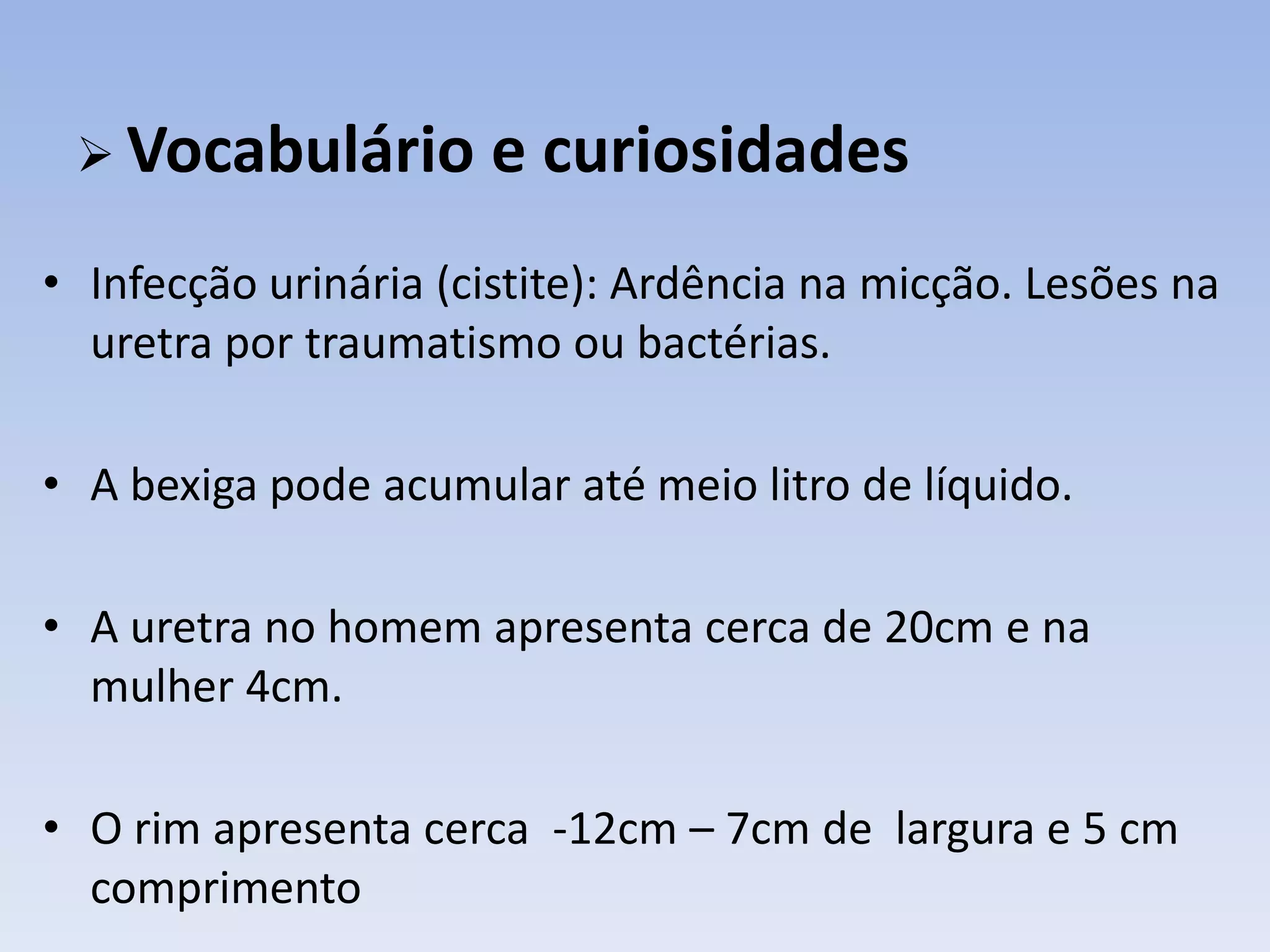  Vocabulário        e curiosidades
• Infecção urinária (cistite): Ardência na micção. Lesões na
  uretra por traumatismo ou bactérias.

• A bexiga pode acumular até meio litro de líquido.

• A uretra no homem apresenta cerca de 20cm e na
  mulher 4cm.

• O rim apresenta cerca -12cm – 7cm de largura e 5 cm
  comprimento
 