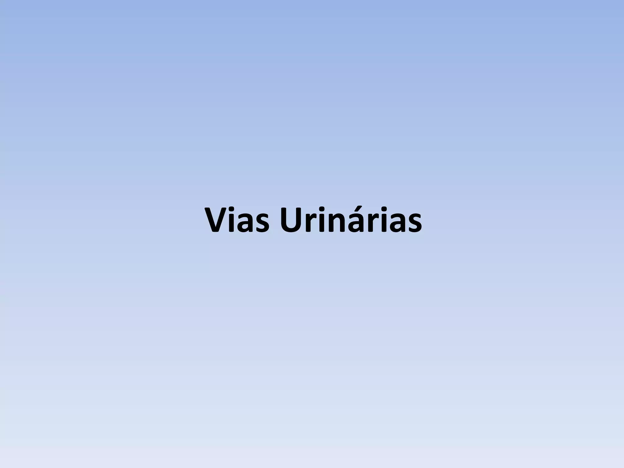 Vias Urinárias
 