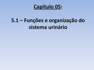 Capítulo 05:

5.1 – Funções e organização do
        sistema urinário
 