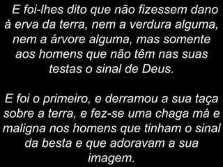 E foi-lhes dito que não fizessem dano
à erva da terra, nem a verdura alguma,
nem a árvore alguma, mas somente
aos homens que não têm nas suas
testas o sinal de Deus.
E foi o primeiro, e derramou a sua taça
sobre a terra, e fez-se uma chaga má e
maligna nos homens que tinham o sinal
da besta e que adoravam a sua
imagem.
 