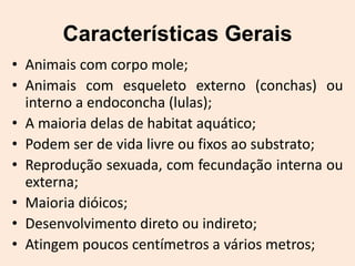 Características Gerais
• Animais com corpo mole;
• Animais com esqueleto externo (conchas) ou
  interno a endoconcha (lulas);
• A maioria delas de habitat aquático;
• Podem ser de vida livre ou fixos ao substrato;
• Reprodução sexuada, com fecundação interna ou
  externa;
• Maioria dióicos;
• Desenvolvimento direto ou indireto;
• Atingem poucos centímetros a vários metros;
 