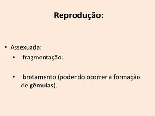 Reprodução:


• Assexuada:
  • fragmentação;

  •   brotamento (podendo ocorrer a formação
      de gêmulas).
 
