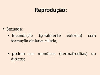 Reprodução:


• Sexuada:
   • fecundação (geralmente       externa)   com
     formação de larva ciliada;

  • podem ser monóicos (hermafroditas) ou
    dióicos;
 