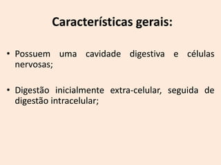 Características gerais:

• Possuem uma cavidade digestiva e células
  nervosas;

• Digestão inicialmente extra-celular, seguida de
  digestão intracelular;
 