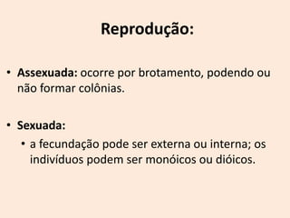 Reprodução:

• Assexuada: ocorre por brotamento, podendo ou
  não formar colônias.

• Sexuada:
   • a fecundação pode ser externa ou interna; os
     indivíduos podem ser monóicos ou dióicos.
 