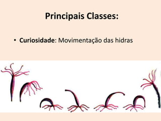 Principais Classes:

• Curiosidade: Movimentação das hidras
 