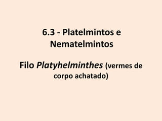 6.3 - Platelmintos e
       Nematelmintos

Filo Platyhelminthes (vermes de
        corpo achatado)
 