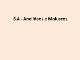 6.4 - Anelídeos e Moluscos
 
