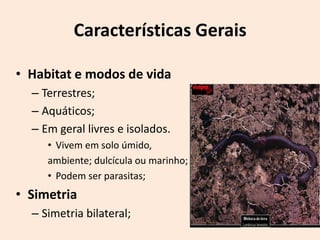 Características Gerais

• Habitat e modos de vida
  – Terrestres;
  – Aquáticos;
  – Em geral livres e isolados.
     • Vivem em solo úmido,
     ambiente; dulcícula ou marinho;
     • Podem ser parasitas;
• Simetria
  – Simetria bilateral;
 