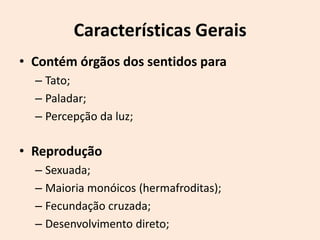 Características Gerais
• Contém órgãos dos sentidos para
  – Tato;
  – Paladar;
  – Percepção da luz;

• Reprodução
  – Sexuada;
  – Maioria monóicos (hermafroditas);
  – Fecundação cruzada;
  – Desenvolvimento direto;
 
