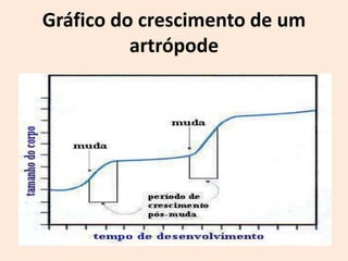 Gráfico do crescimento de um
          artrópode
 