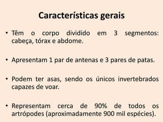 Características gerais
• Têm o corpo dividido        em 3 segmentos:
  cabeça, tórax e abdome.

• Apresentam 1 par de antenas e 3 pares de patas.

• Podem ter asas, sendo os únicos invertebrados
  capazes de voar.

• Representam cerca de 90% de todos os
  artrópodes (aproximadamente 900 mil espécies).
 