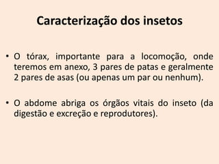 Caracterização dos insetos

• O tórax, importante para a locomoção, onde
  teremos em anexo, 3 pares de patas e geralmente
  2 pares de asas (ou apenas um par ou nenhum).

• O abdome abriga os órgãos vitais do inseto (da
  digestão e excreção e reprodutores).
 
