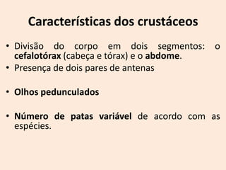 Características dos crustáceos
• Divisão do corpo em dois segmentos: o
  cefalotórax (cabeça e tórax) e o abdome.
• Presença de dois pares de antenas

• Olhos pedunculados

• Número de patas variável de acordo com as
  espécies.
 