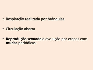 • Respiração realizada por brânquias

• Circulação aberta

• Reprodução sexuada e evolução por etapas com
  mudas periódicas.
 