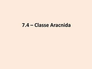 7.4 – Classe Aracnida
 