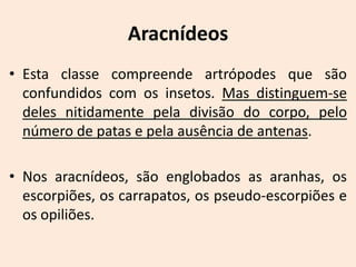 Aracnídeos
• Esta classe compreende artrópodes que são
  confundidos com os insetos. Mas distinguem-se
  deles nitidamente pela divisão do corpo, pelo
  número de patas e pela ausência de antenas.

• Nos aracnídeos, são englobados as aranhas, os
  escorpiões, os carrapatos, os pseudo-escorpiões e
  os opiliões.
 
