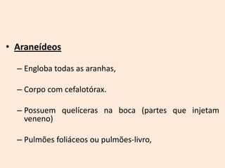 • Araneídeos

  – Engloba todas as aranhas,

  – Corpo com cefalotórax.

  – Possuem quelíceras na boca (partes que injetam
    veneno)

  – Pulmões foliáceos ou pulmões-livro,
 