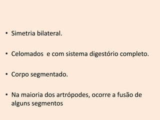 • Simetria bilateral.

• Celomados e com sistema digestório completo.

• Corpo segmentado.

• Na maioria dos artrópodes, ocorre a fusão de
  alguns segmentos
 