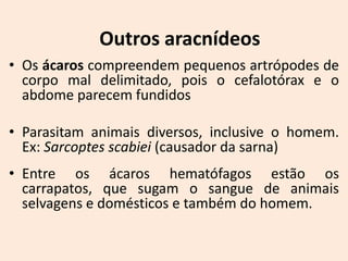 Outros aracnídeos
• Os ácaros compreendem pequenos artrópodes de
  corpo mal delimitado, pois o cefalotórax e o
  abdome parecem fundidos

• Parasitam animais diversos, inclusive o homem.
  Ex: Sarcoptes scabiei (causador da sarna)
• Entre os ácaros hematófagos estão os
  carrapatos, que sugam o sangue de animais
  selvagens e domésticos e também do homem.
 