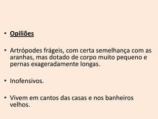 • Opiliões

• Artrópodes frágeis, com certa semelhança com as
  aranhas, mas dotado de corpo muito pequeno e
  pernas exageradamente longas.

• Inofensivos.

• Vivem em cantos das casas e nos banheiros
  velhos.
 