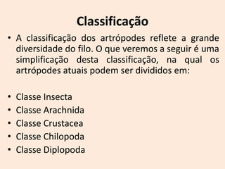 Classificação
• A classificação dos artrópodes reflete a grande
  diversidade do filo. O que veremos a seguir é uma
  simplificação desta classificação, na qual os
  artrópodes atuais podem ser divididos em:

•   Classe Insecta
•   Classe Arachnida
•   Classe Crustacea
•   Classe Chilopoda
•   Classe Diplopoda
 