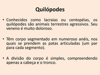 Quilópodes
• Conhecidos como lacraias ou centopéias, os
  quilópodes são animais terrestres agressivos. Seu
  veneno é muito doloroso.

• Têm corpo segmentado em numeroso anéis, nos
  quais se prendem as patas articuladas (um par
  para cada segmento).

• A divisão do corpo é simples, compreendendo
  apenas a cabeça e o tronco.
 