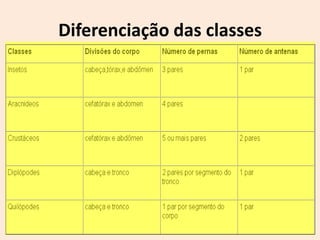 Diferenciação das classes
 