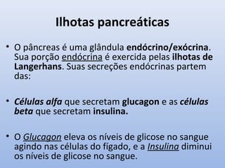 Ilhotas pancreáticas
• O pâncreas é uma glândula endócrino/exócrina.
  Sua porção endócrina é exercida pelas ilhotas de
  Langerhans. Suas secreções endócrinas partem
  das:

• Células alfa que secretam glucagon e as células
  beta que secretam insulina.

• O Glucagon eleva os níveis de glicose no sangue
  agindo nas células do fígado, e a Insulina diminui
  os níveis de glicose no sangue.
 
