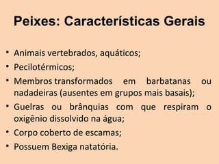 Peixes: Características Gerais

• Animais vertebrados, aquáticos;
• Pecilotérmicos;
• Membros transformados  em  barbatanas  ou 
  nadadeiras (ausentes em grupos mais basais);
• Guelras  ou  brânquias  com  que  respiram  o 
  oxigênio dissolvido na água;
• Corpo coberto de escamas;
• Possuem Bexiga natatória.
 