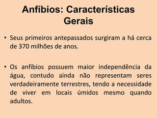Anfíbios: Características
               Gerais
• Seus primeiros antepassados surgiram a há cerca 
  de 370 milhões de anos.

• Os  anfíbios  possuem  maior  independência  da 
  água,  contudo  ainda  não  representam  seres 
  verdadeiramente terrestres, tendo a necessidade 
  de  viver  em  locais  úmidos  mesmo  quando 
  adultos.
 