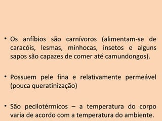 • Os  anfíbios  são  carnívoros  (alimentam-se  de 
  caracóis,  lesmas,  minhocas,  insetos  e  alguns 
  sapos são capazes de comer até camundongos).

• Possuem  pele  fina  e  relativamente  permeável 
  (pouca queratinização)

• São  pecilotérmicos  –  a  temperatura  do  corpo 
  varia de acordo com a temperatura do ambiente.
 