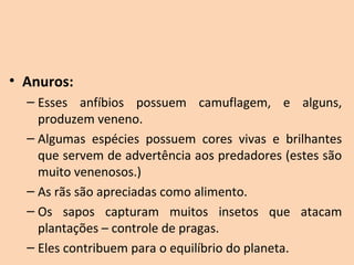 • Anuros:
  – Esses  anfíbios  possuem  camuflagem,  e  alguns, 
    produzem veneno.
  – Algumas  espécies  possuem  cores  vivas  e  brilhantes 
    que servem de advertência aos predadores (estes são 
    muito venenosos.)
  – As rãs são apreciadas como alimento.
  – Os  sapos  capturam  muitos  insetos  que  atacam 
    plantações – controle de pragas.
  – Eles contribuem para o equilíbrio do planeta.
 