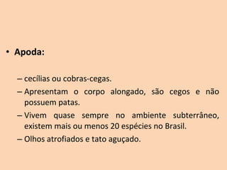 • Apoda:

  – cecílias ou cobras-cegas.
  – Apresentam  o  corpo  alongado,  são  cegos  e  não 
    possuem patas.
  – Vivem  quase  sempre  no  ambiente  subterrâneo, 
    existem mais ou menos 20 espécies no Brasil.
  – Olhos atrofiados e tato aguçado.
 