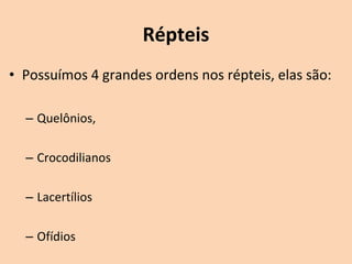 Répteis
• Possuímos 4 grandes ordens nos répteis, elas são:

  – Quelônios,

  – Crocodilianos

  – Lacertílios

  – Ofídios
 