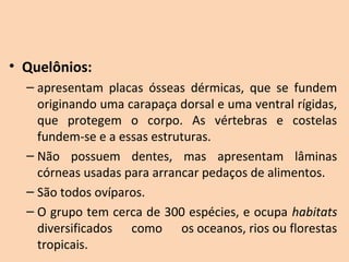 • Quelônios:
  – apresentam  placas  ósseas  dérmicas,  que  se  fundem 
    originando uma carapaça dorsal e uma ventral rígidas, 
    que  protegem  o  corpo.  As  vértebras  e  costelas 
    fundem-se e a essas estruturas.
  – Não  possuem  dentes,  mas  apresentam  lâminas 
    córneas usadas para arrancar pedaços de alimentos.
  – São todos ovíparos. 
  – O grupo tem cerca de 300 espécies, e ocupa  habitats 
    diversificados  como  os oceanos, rios ou florestas 
    tropicais.
 