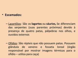 • Escamados:

  – Lacertílios:  São  os lagartos ou sáurios, Se  diferenciam 
    das  serpentes  (suas  parentes  próximas)  devido  à 
    presença  de  quatro  patas,  pálpebras  nos  olhos,  e 
    ouvidos externos

  – Ofídios: São répteis que não possuem patas. Possuem 
    glândula  de  veneno  e  fosseta  loreal  (órgão 
    responsável  por  mostrar  imagens  térmicas  para  o 
    ofídio – utiliza para caça)
 