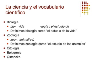 Biología bio-  :  vida -logía  :  el estudio de Definimos biología como “el estudio de la vida”. Zoología zoo-  :  animal(es) Definimos zoología como “el estudio de los animales” Citología Epidermis Osteocito La ciencia y el vocabulario científico 