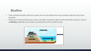 Biosfera
• Toda a biodiversidade sobrevive a partir de recursos disponíveis nas camadas superiores da crosta
terrestre;
• A faixa 20 km de extensão que vai das mais altas montanhas até os mais profundos oceanos, chama-
se Biosfera, definida como todos os ambientes daTerra onde há vida;
 