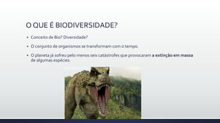 O QUE É BIODIVERSIDADE?
 Conceito de Bio? Diversidade?
 O conjunto de organismos se transformam com o tempo.
 O planeta já sofreu pelo menos seis catástrofes que provocaram a extinção em massa
de algumas espécies.
 