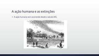 A ação humana e as extinções
 A ação humana vem ocorrendo desde o século XIX;
 