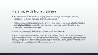 Preservação da fauna brasileira
 A Lei de Proteção à Fauna (Lei nº 5.197/67 trata da caça, perseguição, captura,
transporte, comércio e criação de animais silvestres;
 Todo animal que estão acostumados a viver entre os seres humanos são chamados de
animais domésticos; já aqueles que vivem livres, em seu ambiente natural são
chamados de animais silvestres;
 Vejam alguns artigos da lei de proteção aos animais silvestres:
Art. 1º. Os animais de quaisquer espécies, em qualquer fase do seu desenvolvimento e
que vivem naturalmente fora do cativeiro, constituindo a fauna silvestre, bem como seus
ninhos, abrigos e criadouros naturais são propriedades do Estado, sendo proibida a sua
utilização, perseguição, destruição, caça ou apanha.
 