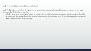 Art. 2º É proibido o exercício da caça profissional.
Art. 3º. É proibido o comércio de espécimes da fauna silvestre e de produtos e objetos que impliquem na sua caça,
perseguição, destruição ou apanha.
• A Rede Nacional de Combate aoTráfico de animais silvestres (Renctas) estima que esse tipo de comércio ilegal é o
terceiro maior do mundo (depois das armas e das drogas), movimentando cerca de 10 bilhões de dólares ao ano. O
Brasil movimento 10% desse mercado
 