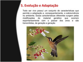 5. Evolução e Adaptação
Todo ser vivo possuí um conjunto de características que
permite a adaptação e, consequentemente, a sobrevivência
no ambiente. Essas características diferentes surgem pelas
modificações do material genético que ocorrem
espontaneamente com o passar dos anos e são
transmitidas, de geração a geração
 