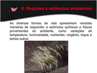 As diversas formas de vida apresentam variadas
maneiras de responder a estímulos químicos e físicos
provenientes do ambiente, como variações de
temperatura, luminosidade, nutrientes, oxigênio, toque e
tantos outros
6. Reações a estímulos ambientais
 