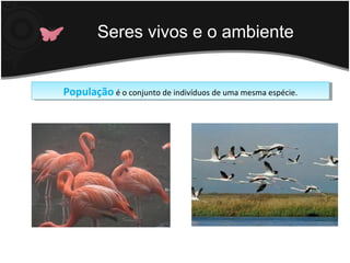 Seres vivos e o ambiente
População é o conjunto de indivíduos de uma mesma espécie.População é o conjunto de indivíduos de uma mesma espécie.
 
