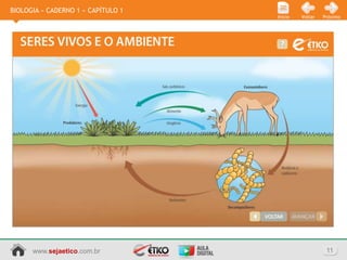BIOLOGIA » CADERNO 1 » CAPÍTULO 1
                                    Início   Voltar   Próximo




      www.sejaetico.com.br                             11
 