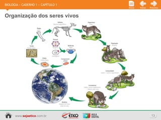 BIOLOGIA » CADERNO 1 » CAPÍTULO 1
                                    Início   Voltar   Próximo



Organização dos seres vivos




      www.sejaetico.com.br                             13
 
