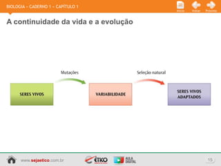 BIOLOGIA » CADERNO 1 » CAPÍTULO 1
                                      Início   Voltar   Próximo



A continuidade da vida e a evolução




      www.sejaetico.com.br                               15
 